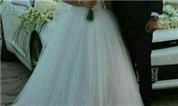 انتشار تصاویر ادعایی عروسی میلیاردی دختر شهردار تهران در اینترنت