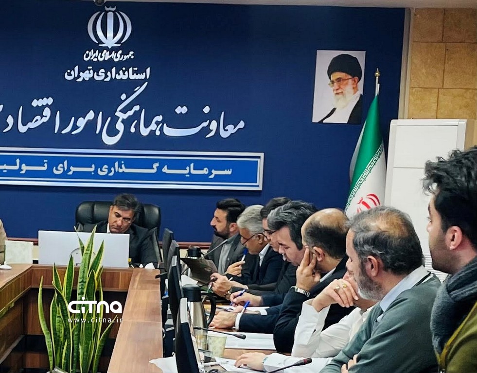 کارافرینان برتر رسمی