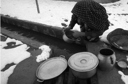 قدیمی