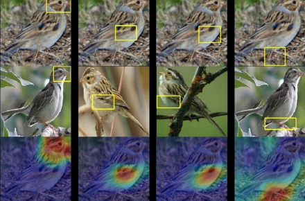 بهره‌گیری محققان دانشگاه دوک آمریکا از هوش‌مصنوعی جهت شناسایی پرندگان