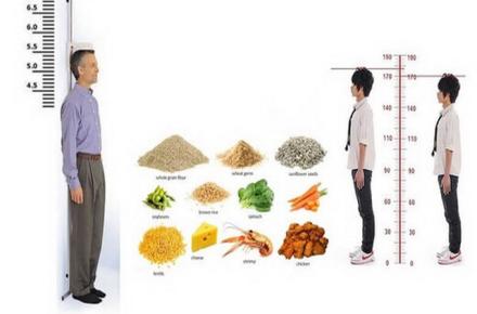 افزایش قد با مصرف هفت ماده غذایی