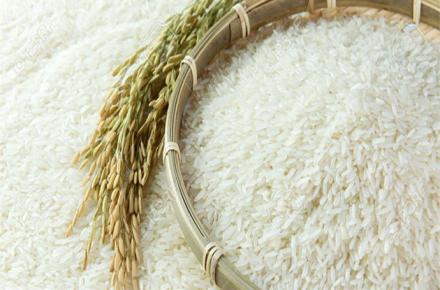 برنج هاشمی با چه قیمتی در بازار به فروش می‌رسد؟
