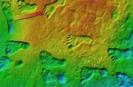 قدیمی‌ترین ردپای انسان در آمریکا