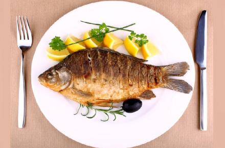 مصرف ماهی هوش و کیفیت خواب کودکان را افزایش می‌دهد