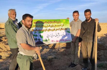 کاشت ۱۲ هزار و ۶۰۰ نهال از سوی ایرانسل در فارس و لرستان