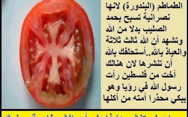 اتحادیه اسلامی مصر در فیس بوک اعلام کرد:  گوجه فرنگی مسیحی است و خوردنش حرام!