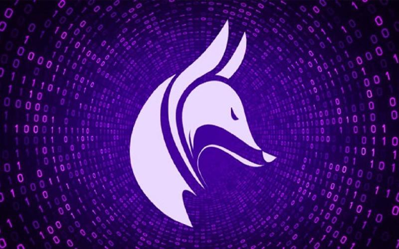 بدافزار Purple Fox به رایانه‌های ویندوزی حمله کرد