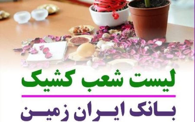 شعب کشیک بانک ایران زمین در پایان سال 95