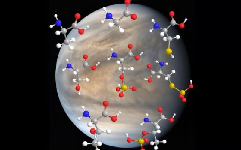 ابرهای اسیدی زهره می‌توانند میزبان حیات فرازمینی باشند