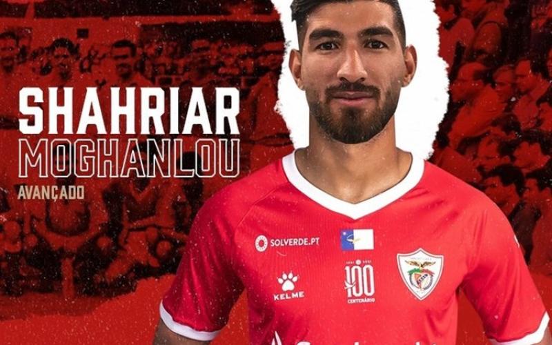 استوری مدیر روابط عمومی پرسپولیس درباره توافق با مغانلو