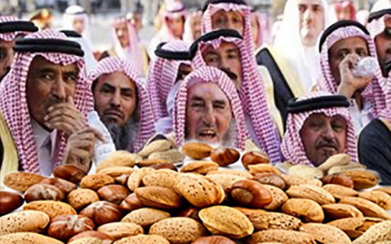 فتوای خنده دار مفتیان عربستان درباره خوردن آجیل در نوروز