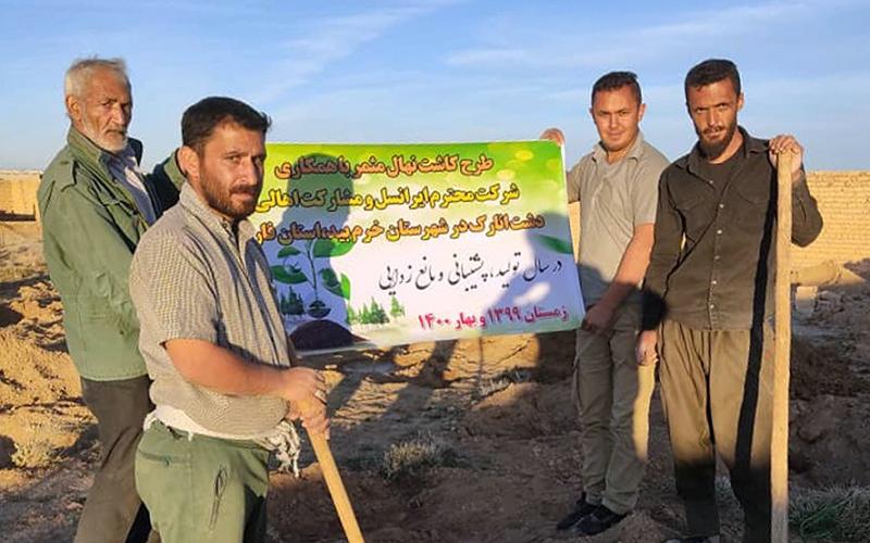 کاشت ۱۲ هزار و ۶۰۰ نهال از سوی ایرانسل در فارس و لرستان