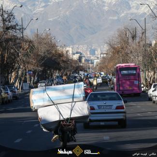 گزارش تصویری شفقنا: باک سواران بی باک